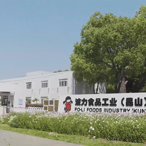 新年华人力资源公司